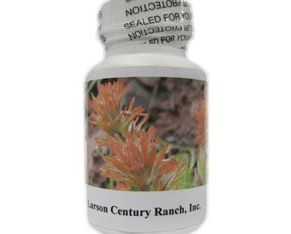 American Native Herbal Tablets - 60 tablets Hot on Sale