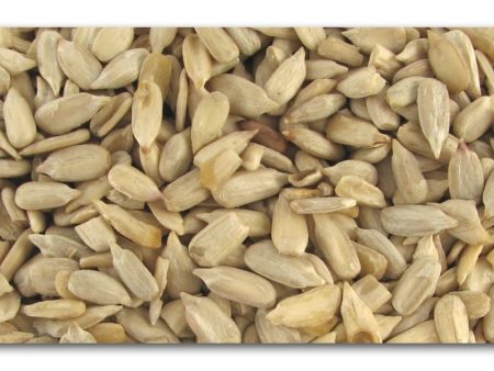 Bulk Sunflower Seeds Raw - 1 lb. For Cheap