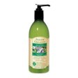 Avalon Rosemary Liquid Hand Soap Organic - 12 ozs. Discount